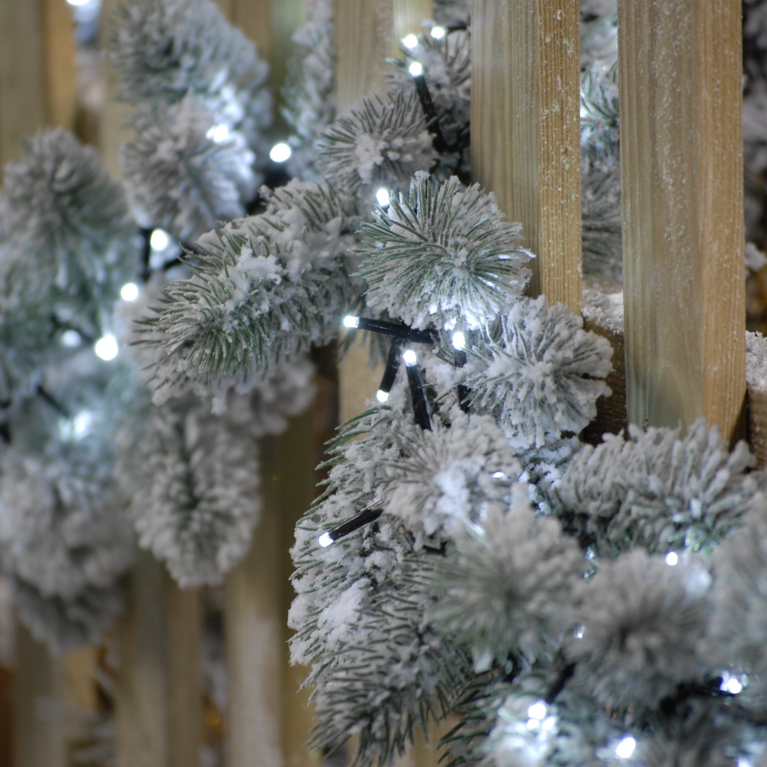 520 Sparkle String Lights - White | Cornwall Garden Shop | UK