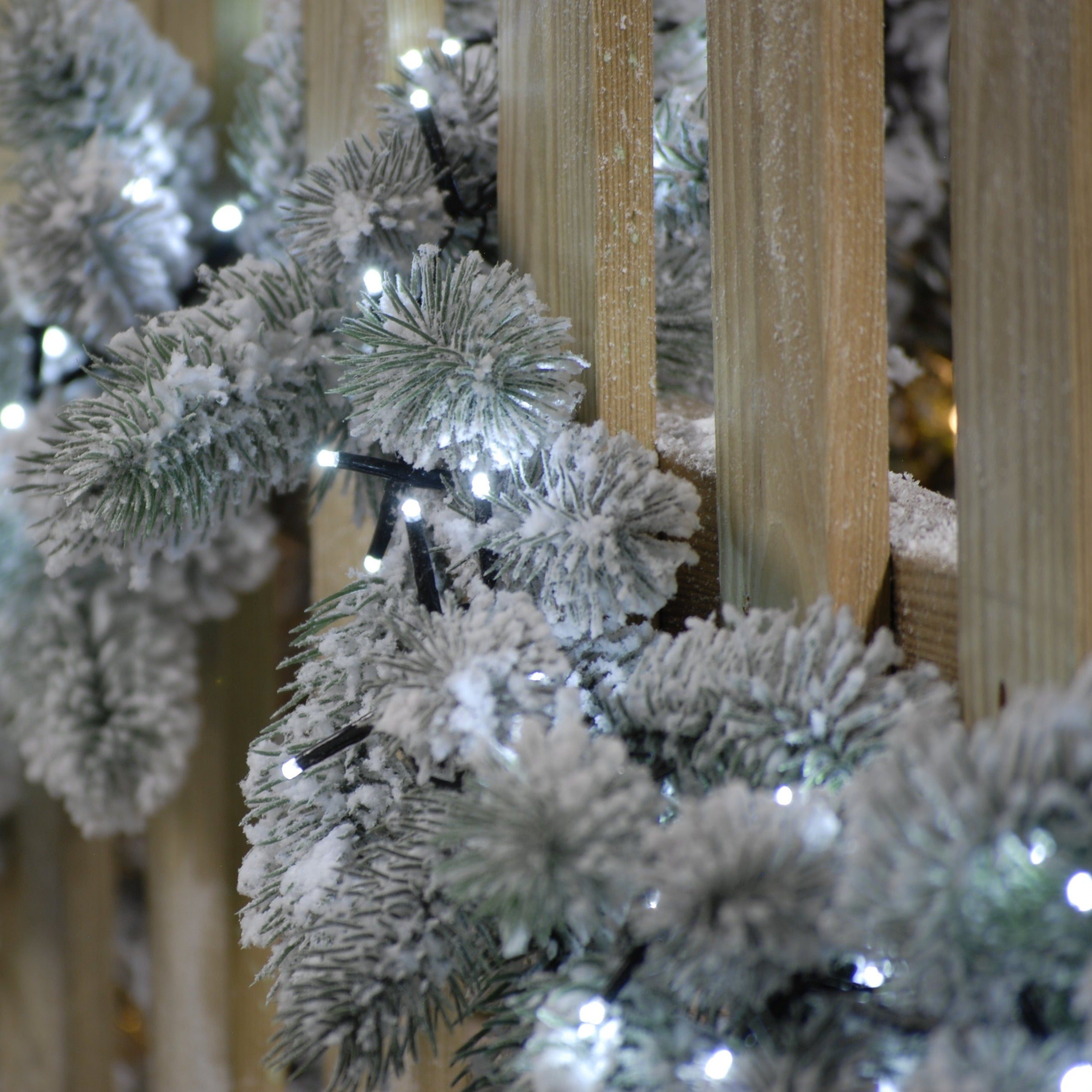 760 Sparkle Lights - White | Cornwall Garden Shop | UK