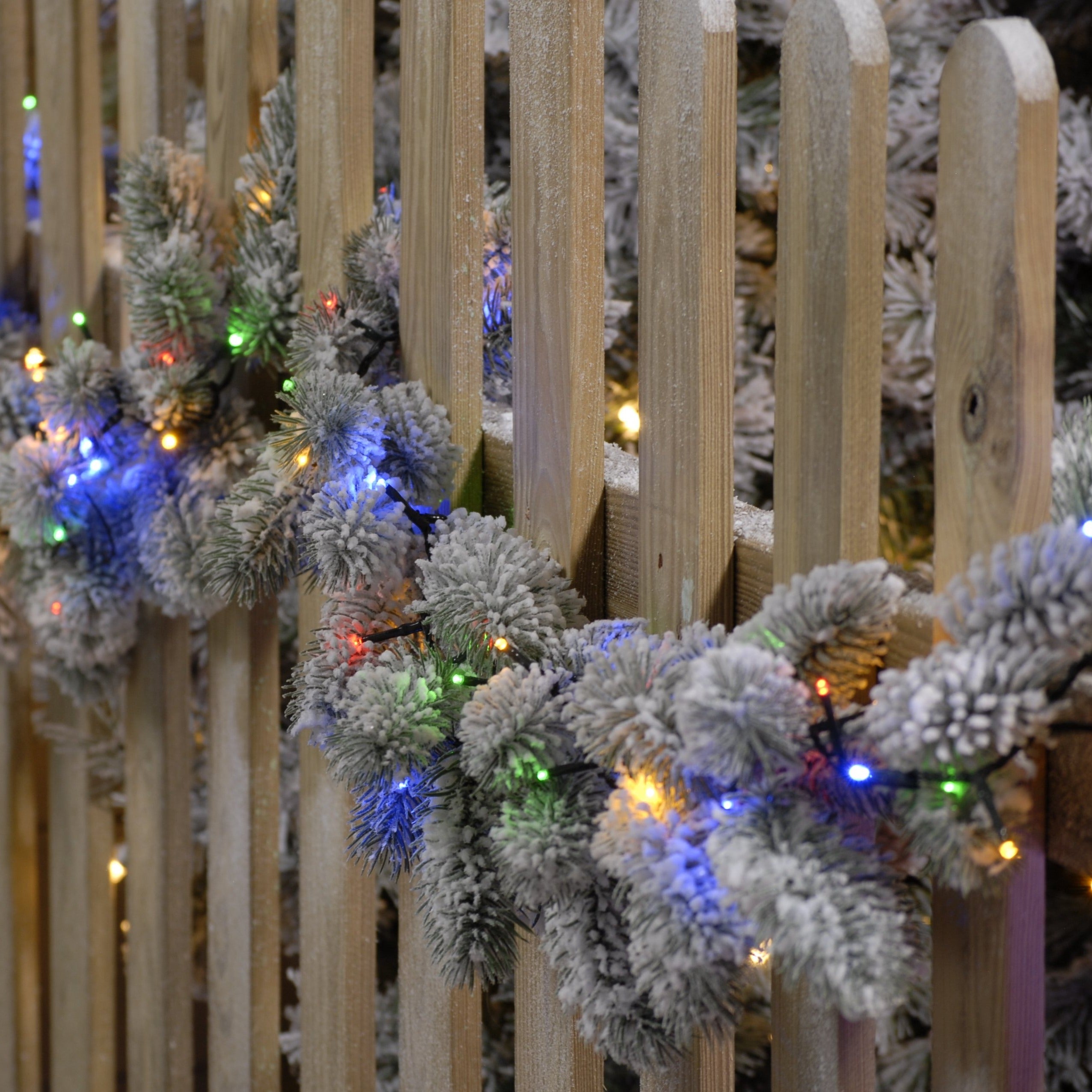 760 Sparkle Lights - Multicolour | Cornwall Garden Shop | UK