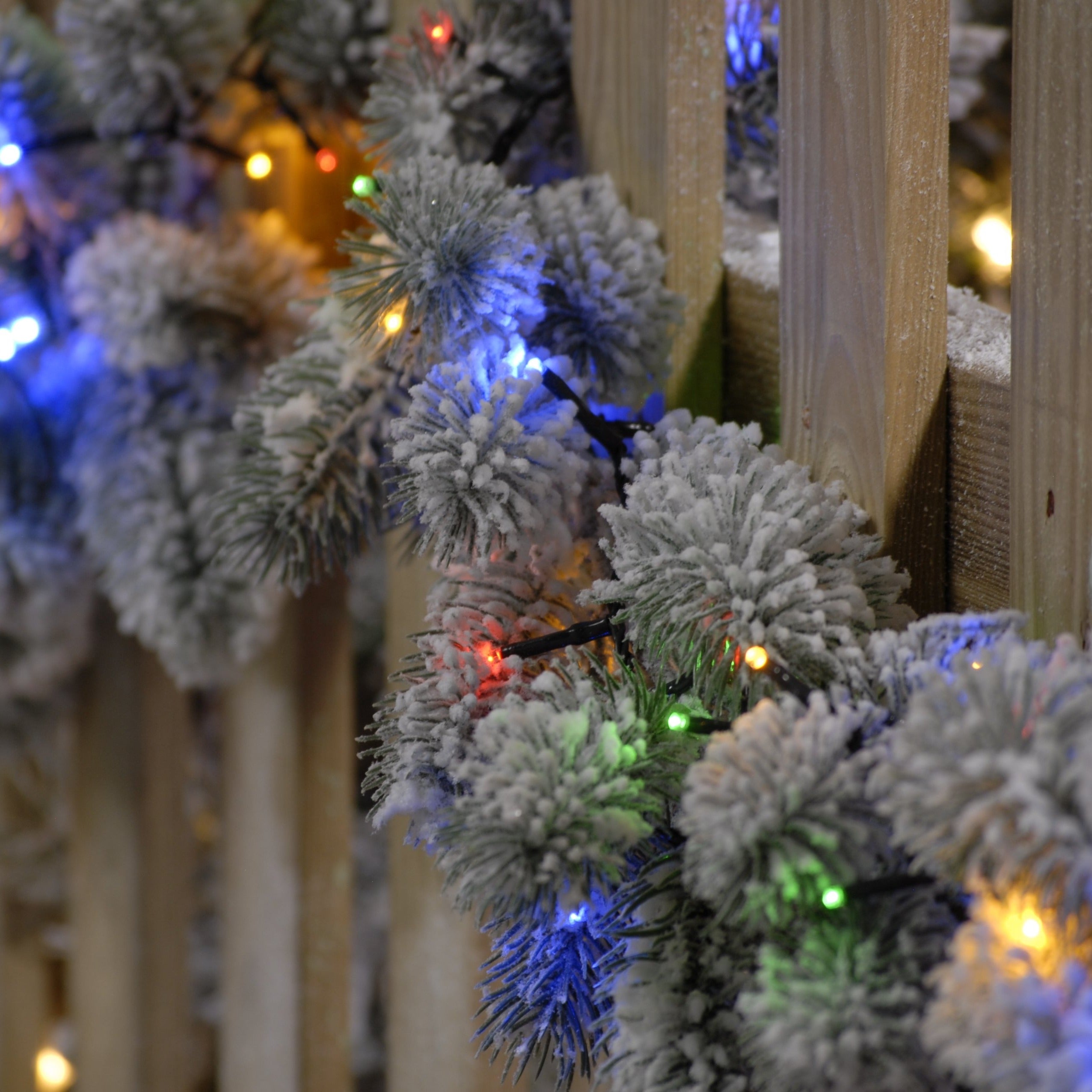 760 Sparkle Lights - Multicolour | Cornwall Garden Shop | UK