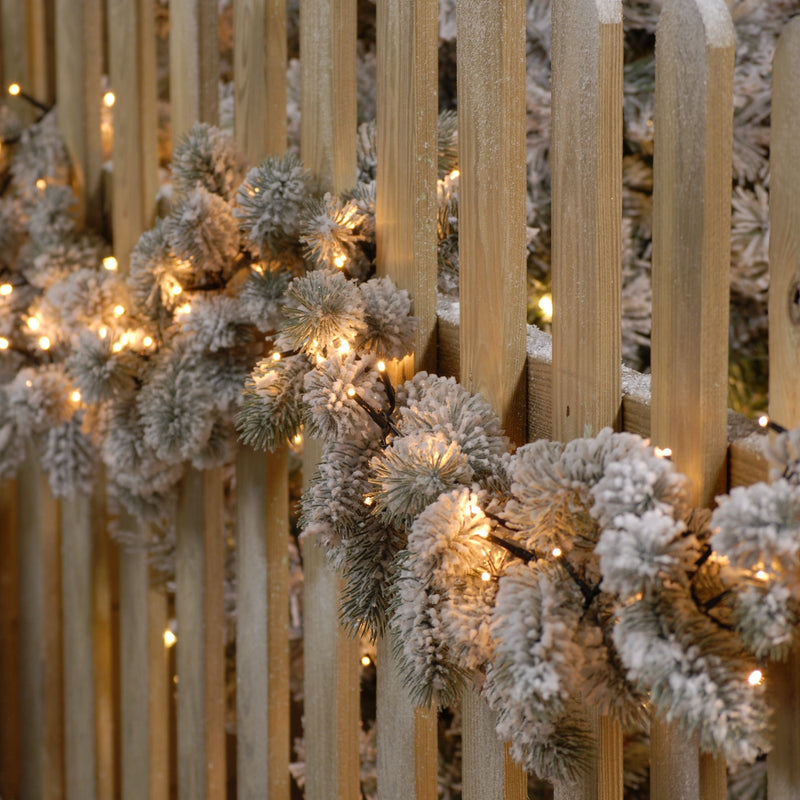 1000 Sparkle Lights - Warm White | Cornwall Garden Shop | UK