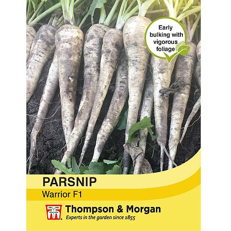 Parsnip Warrior F1 Seeds