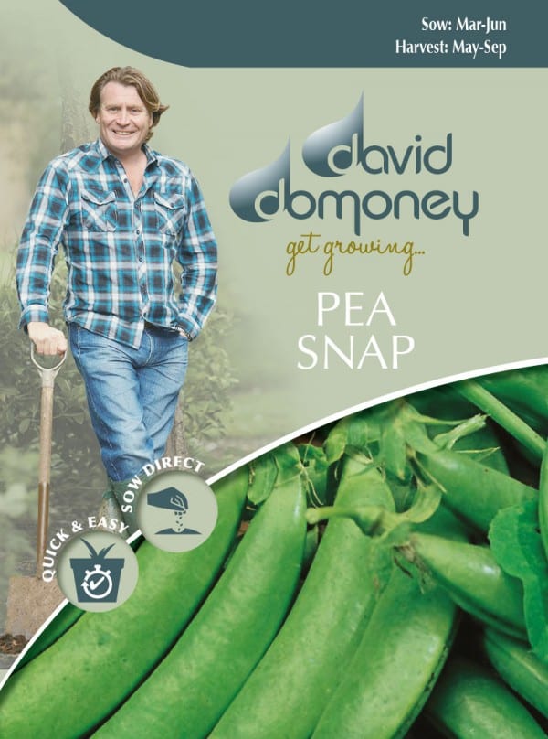 Pea Seeds (Snap) David Domoney