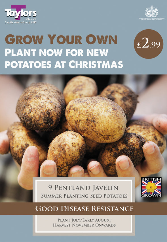 Pentland Javelin First Early Seed Potatoes (9)