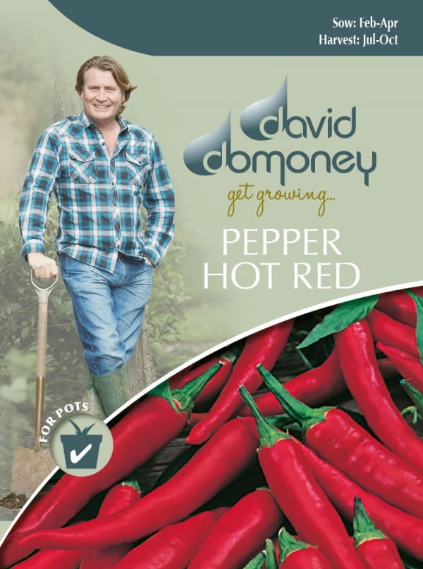 Red Hot Pepper Seeds David Domoney