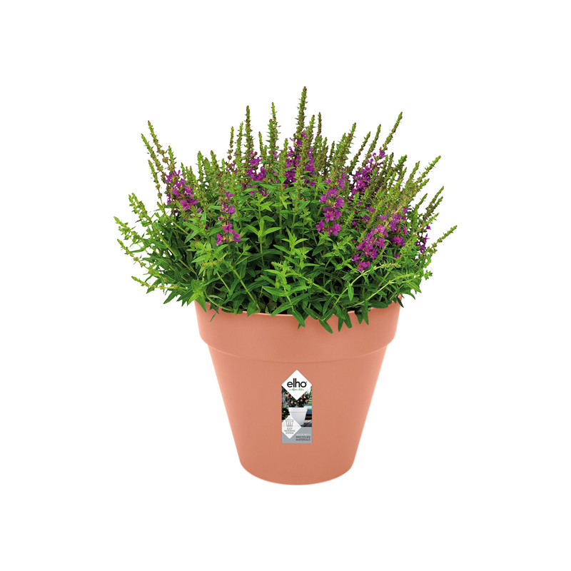 Loft Urban Round 25cm Delicate Pink | Cornwall Garden Shop | UK
