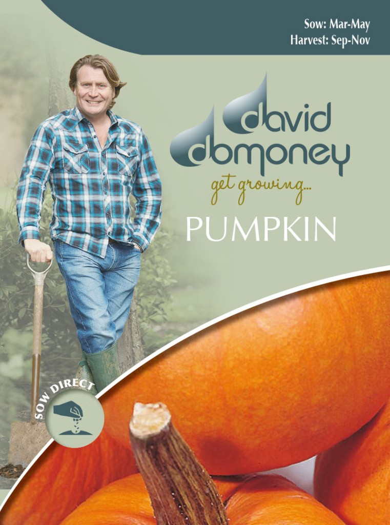 Pumpkin Seeds David Domoney