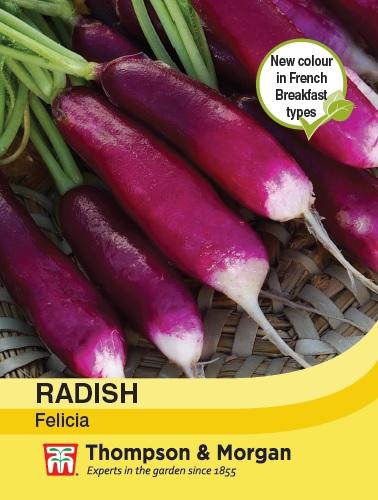 Radish Felicia Seeds