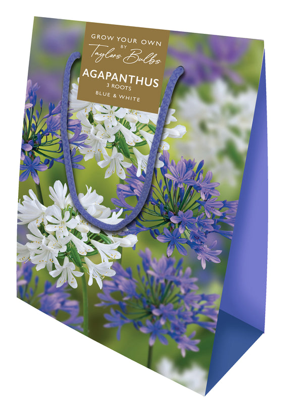 Agapanthus Bag (3 Pack)