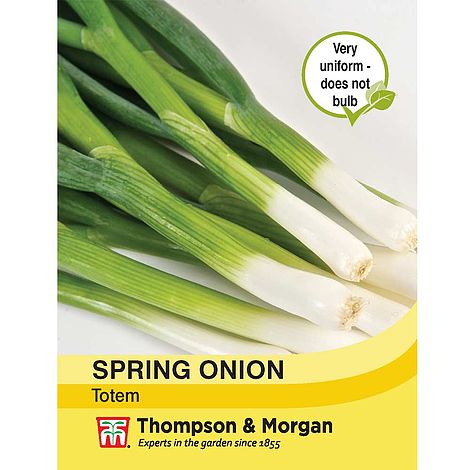 Spring Onion Totem Seeds