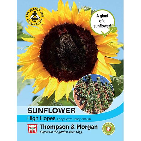 Sunflower High Hopes Flower Seeds