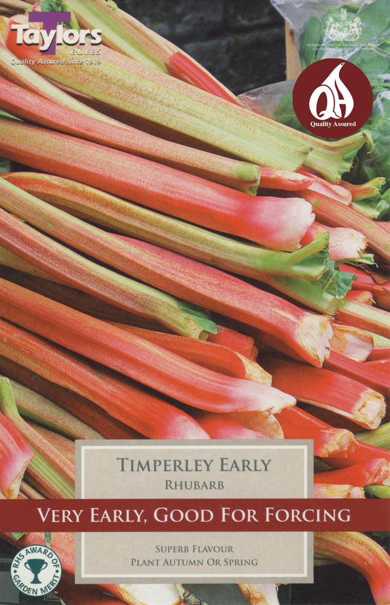 Rhubarb Timperley Early (Single Crown)