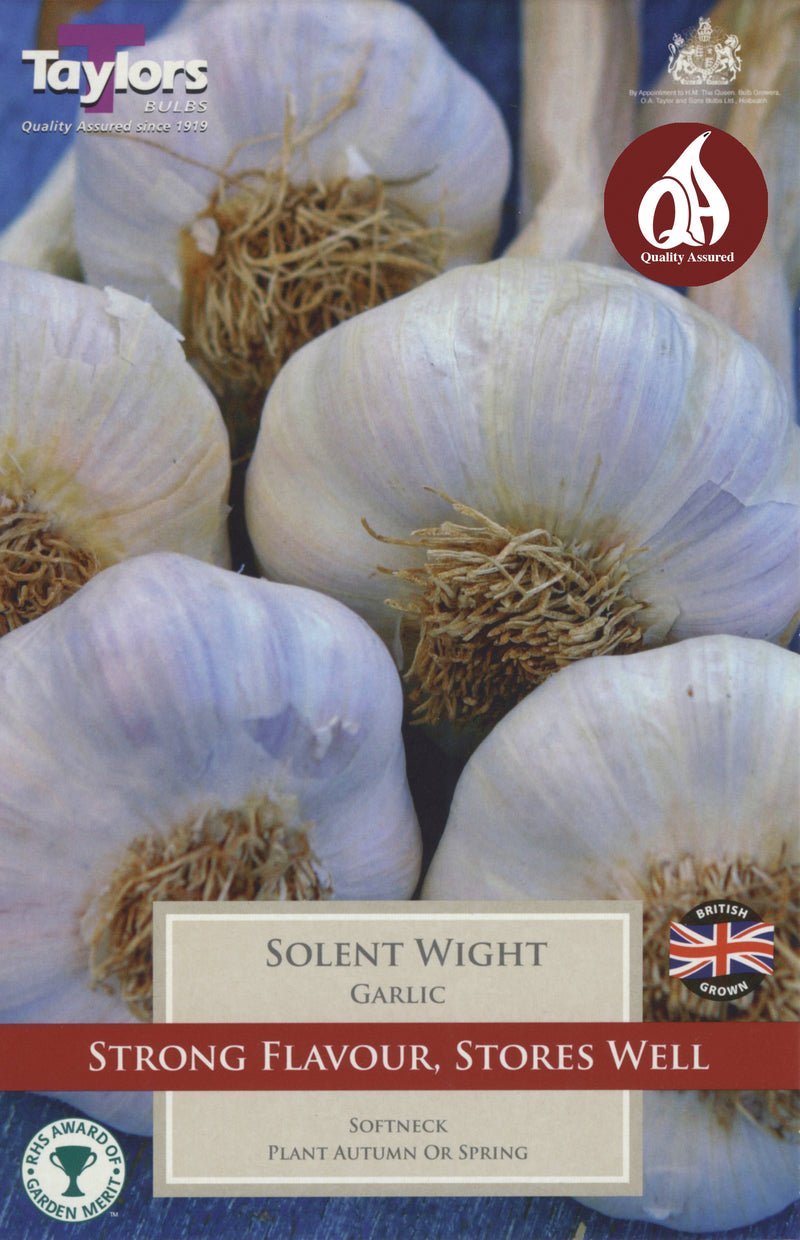 Garlic Solent Wight (Single Bulb)