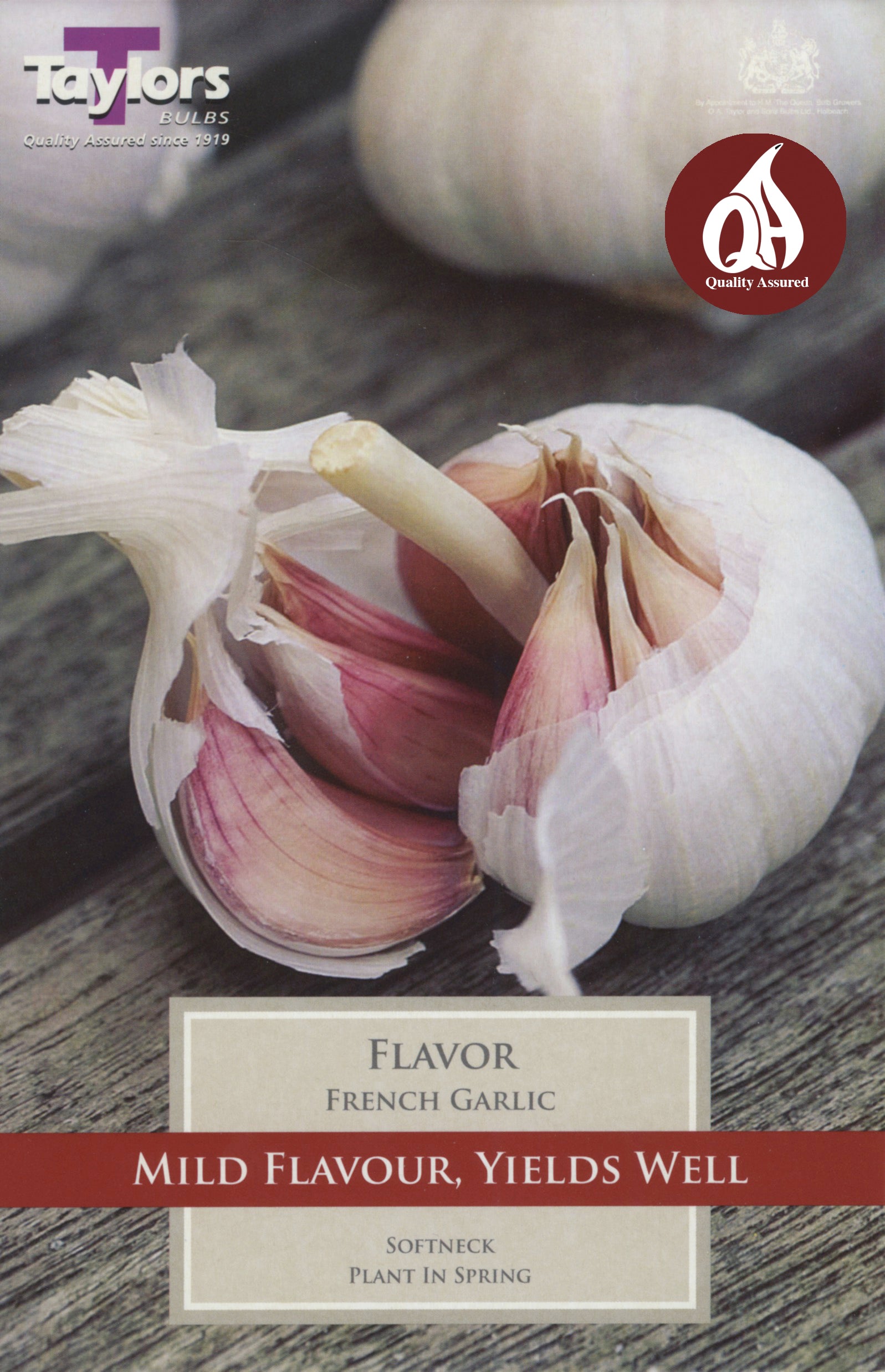 Garlic French Flavor (2 Bulbs)