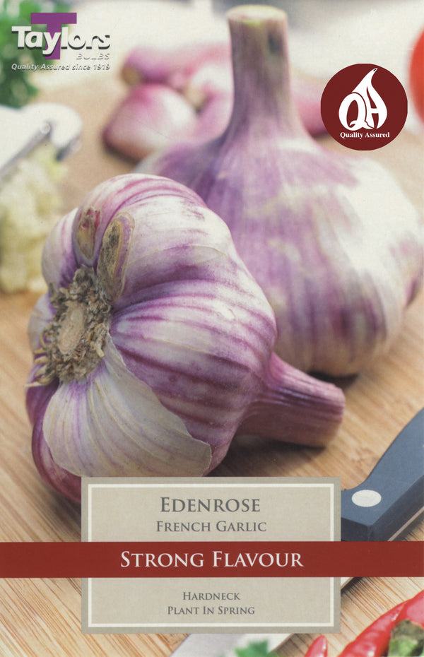Garlic French Edenrose (2 Bulbs)