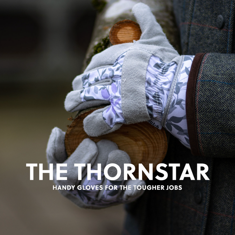 The Thornstar Glove