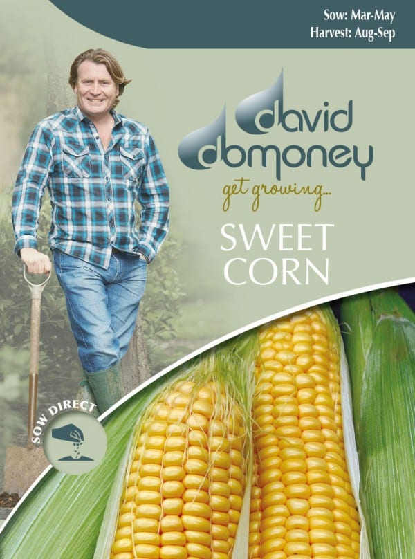 Sweetcorn Seeds David Domoney
