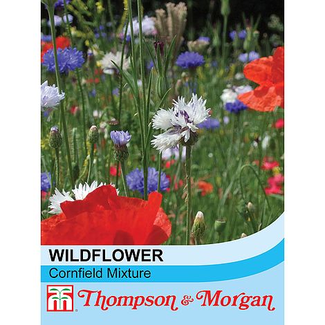 Wild Flower Cornfield Mixture Flower Seeds