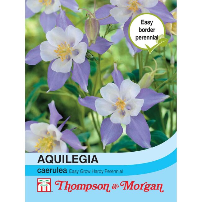 Aquilegia Caerulea Flower Seeds