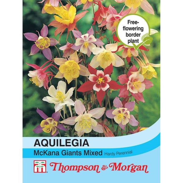 Aquilegia McKana Giant Hybrids Mixed Flower Seeds