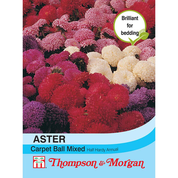 Aster Carpet Ball Mixed Flower Seeds