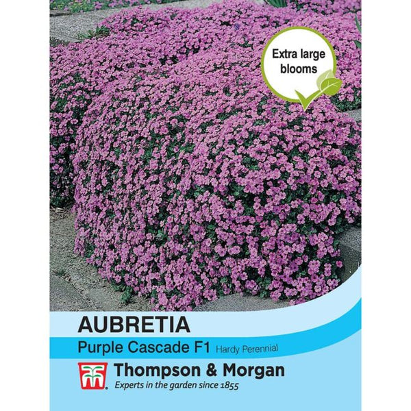Aubrieta Purple Cascade Flower Seeds