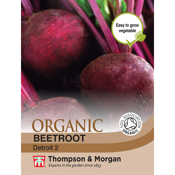 Beetroot Detroit 2 (Organic) Seeds