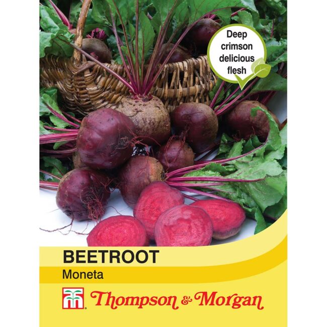 Beetroot Moneta Vegetable Seeds