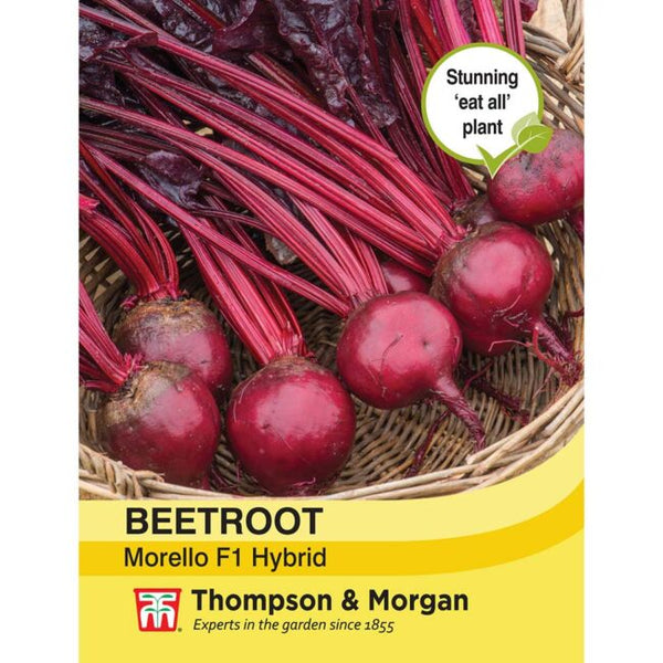 Beetroot Morello Vegetable Seeds