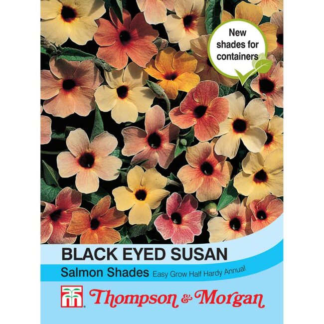 Black Eyed Susan Salmon Shades Flower Seeds