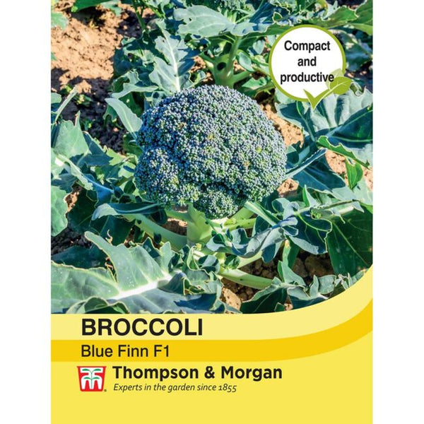 Broccoli Blue Finn F1 Seeds