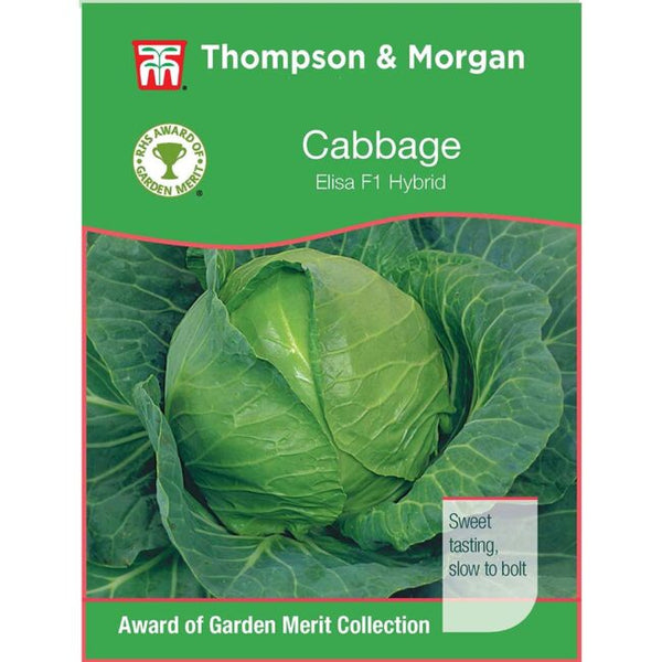 Cabbage Elisa F1 Hybrid Seeds