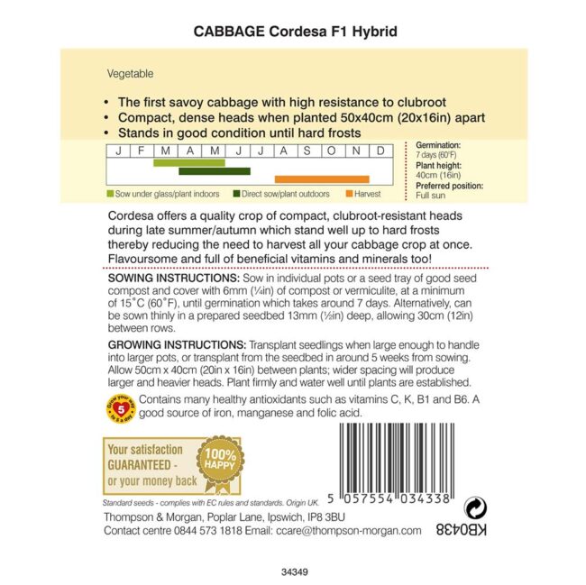 Cabbage Cordesa F1 Hybrid Vegetable Seeds