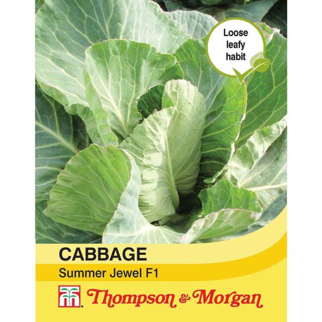 Cabbage Summer Jewel F1 Seeds