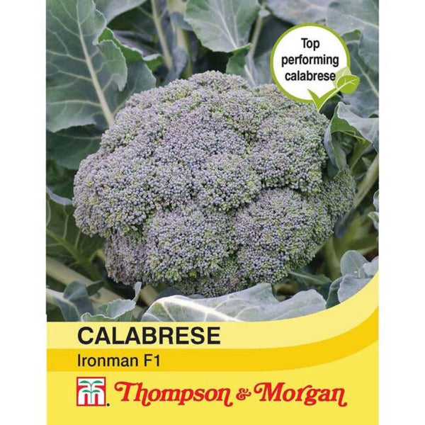 Calabrese Ironman F1 Hybrid Vegetable Seeds