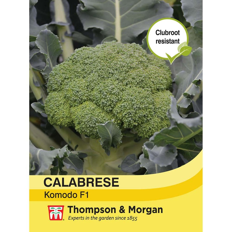 Calabrese Komodo Seeds