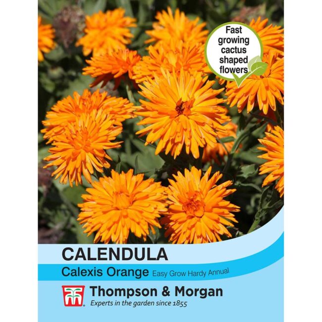 Calendula Calexis Orange Flower Seeds