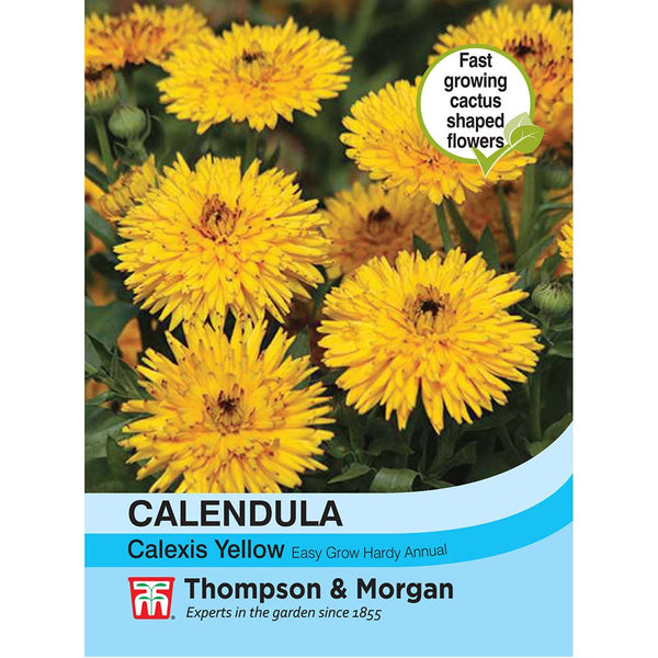 Calendula Calexis Yellow Flower Seeds