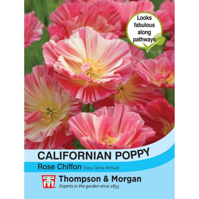 Californian Poppy Rose Chiffon Flower Seeds