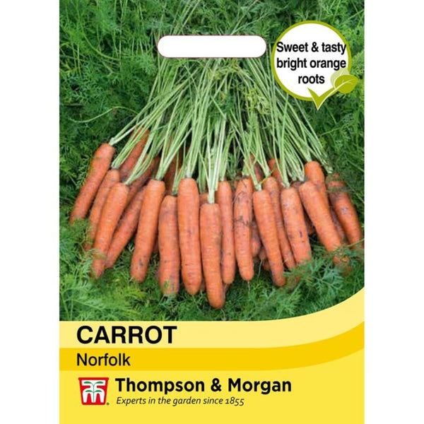 Carrot Norfolk Vegetable Seeds