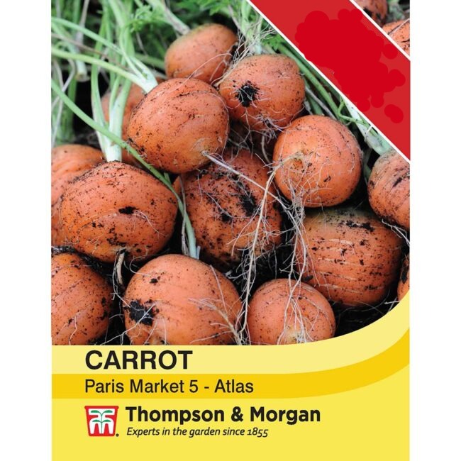 Carrot Paris Market Atlas Vegetable Seeds