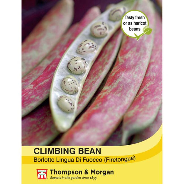 Climbing Bean Borlotto Lingua Seeds