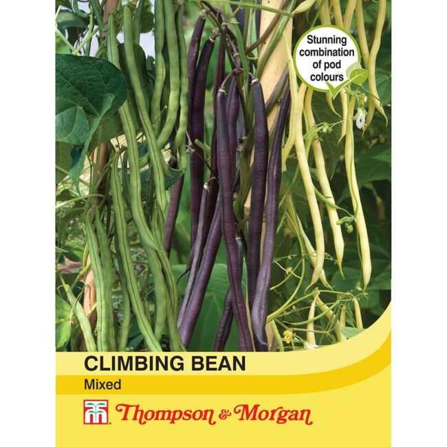 Climbing Bean Mixed Vegetable Seeds