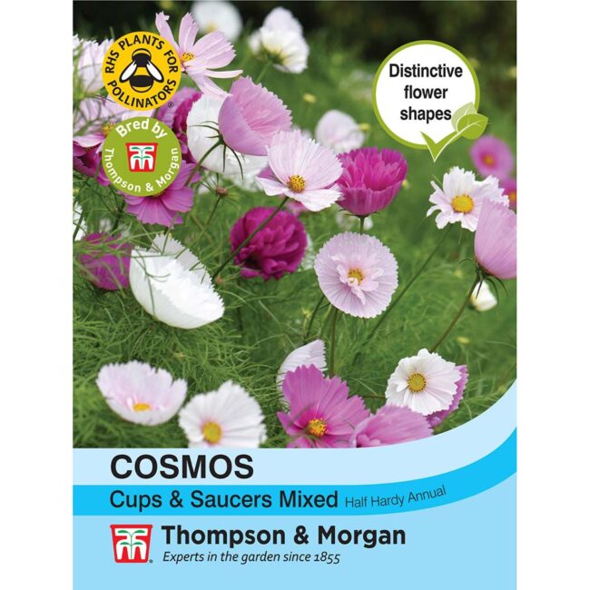 Cosmos Cups & Saucers Mixed Flower Seeds