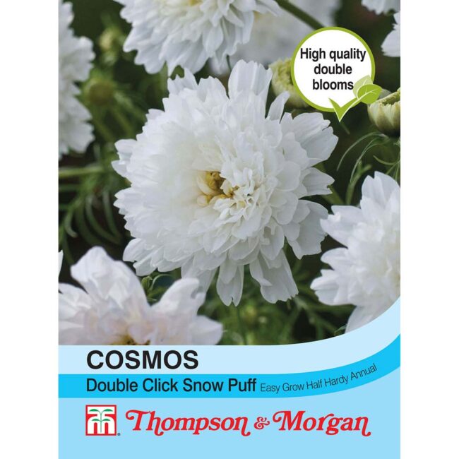Cosmos Double Click Snow Puff Flower Seeds