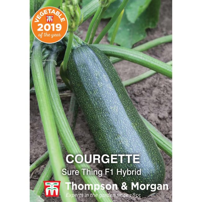 Courgette Sure Thing Vegetable Seeds