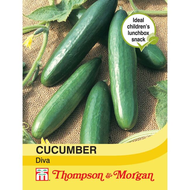 Cucumber Diva Vegetable Seeds