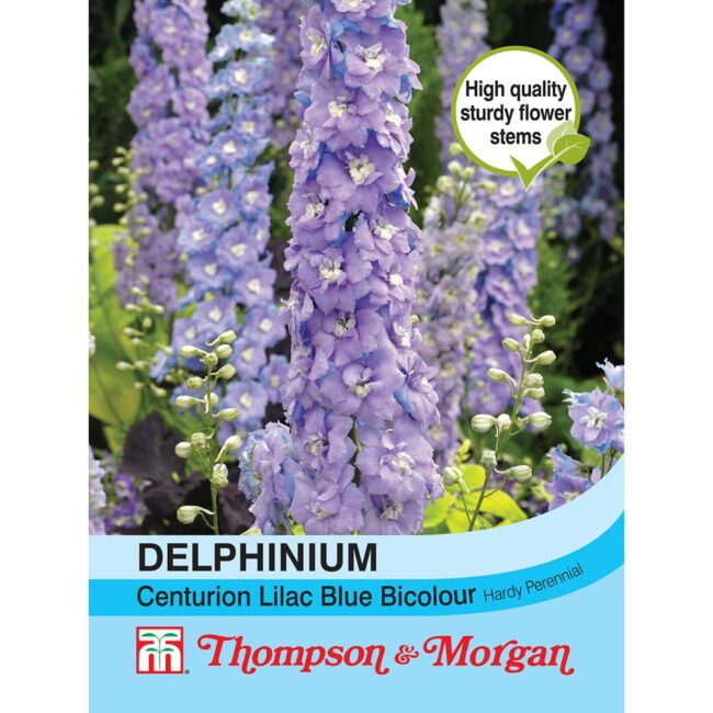 Delphinium Centurion Lilac Bicolour Hybrid Flower Seeds
