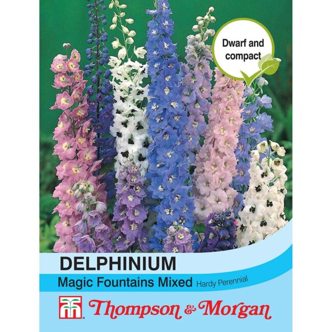 Delphinium Magic Fountains Flower Seeds