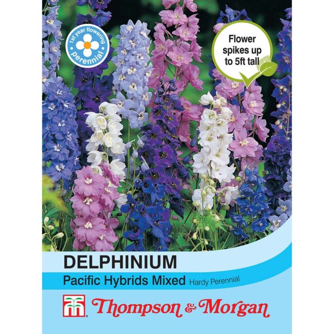 Delphinium Pacific Hybrids Mixed Flower Seeds